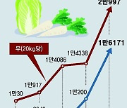 전 세계 덮친 ‘히트플레이션’… 물가-성장률에 악영향 우려