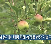 경북 농기원, 태풍 피해 농작물 현장 기술 지원