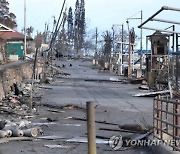 '불바다' 하와이 67명 사망…"사망자 더 늘듯"