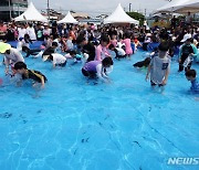 제주 도두오래물축제, 방문객 '북적'