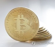 美SEC, '돈나무 언니'가 신청한 비트코인 ETF 심사 연장