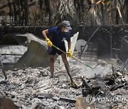 Hawaii Fires