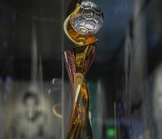 WWCup Trophy Soccer