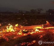 하와이 산불 사망자 80명으로 '눈덩이'…곳곳 여전히 불길(종합)