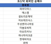 코스닥 주간 외국인 순매수 1위 '파라다이스'