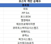 코스닥 주간 개인 순매수 1위 '파두'