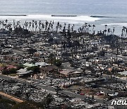 미국 하와이 화재 재건비용 7조원…건물 1000채 전소