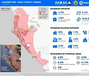 하와이 산불로 건물 2207채 피해…'여의도 3배' 불타