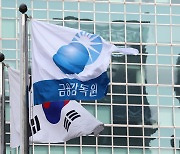 금감원, XBRL 재무공시 시스템 시범 운영…희망 기업 지원 받아