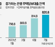 가계빚 불안한데…고정금리 주담대 감소세