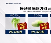 장마·폭염에 태풍…요동치는 물가, 추석까지 이어지나