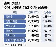 펩트론 239%·인벤티지랩 159%↑…신약 바이오의 반격? 변수는