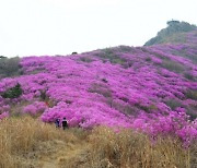 여수 영취산 지명 통일 추진