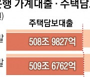 ‘50년 만기 주담대’ 폭증… 한 달 새 1조 넘자 연령제한 검토