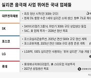 삼성·현대차 빼고 다 뛰어들었다… 실리콘 음극재가 뭐길래