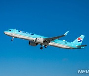 대한항공 뉴욕행 여객기, 기체 결함으로 인천 회항