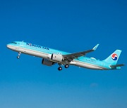 대한항공, 美 뉴욕행 여객기 결함 '회항'…"오후 5시 교체편 출발"