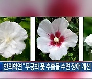 한의학연 “무궁화 꽃 추출물 수면 장애 개선 효능”