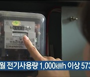 울산 월 전기사용량 1000㎾h 이상 573가구