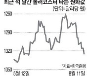 中경기 맥못추고 킹달러 거침없고…변동성 더 커진 원화값