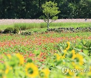 가을의 문턱에서