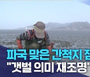 파국 맞은 간척지 잼버리.."갯벌 의미 재조명"