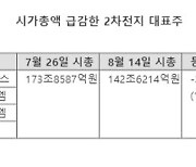 포스코·에코프로그룹주, 보름새 시총 30조 증발