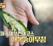 '안다행', 月예능 69주 연속 동시간대 1위…정호영 '섬마카세' 성공