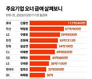 그룹 총수 상반기 보수는…신동빈 112억 1위