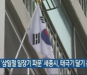 ‘삼일절 일장기 파문’ 세종시, 태극기 달기 운동