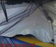 말다툼하다 우산 속으로 손 '슥'···30㎝ 흉기 숨기고 있었다