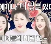 '돌싱포맨' 홍수아 "성형 악플 多..얼굴 전부 다 했다" [별별TV]