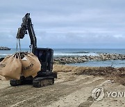 해수욕장 수해 쓰레기 수거