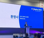 [르포]"접고 말고 풍선에 매달고"…K-OLED 기술력 뽐낸 삼성·LGD