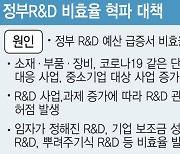 R&D 예산 비효율 제거해야지만···신성장동력 일괄삭감 우려도