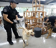 대구시청 산격청사 수색하는 경찰특공대와 탐지견