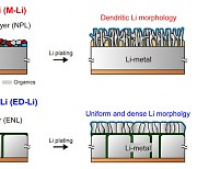 DGIST, 리튬 금속 전지 수명 높일 음극 제조법 개발