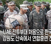 사막의 UAE 전투부대가 강원 산속에...사상 첫 국내 연합훈련