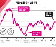 [THE FINANCE] 롤러코스터 원화 환율… "달러 ETF 투자해볼까"