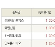 [fnRASSI]오늘의 상한가, 솔브레인홀딩스 30.0% ↑