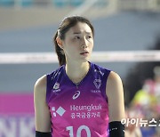 김연경 소속사 "악의적인 보도·악성댓글 강경 대응…선처 없다"