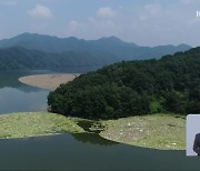 장마·태풍에 쓰레기 홍수…충청권 식수원 녹조 비상