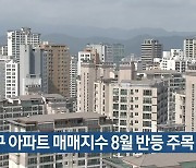 대구 아파트 매매지수 8월 반등 주목