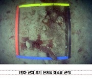 극지연구소 "기후변화로 남극바다의 종 다양성 위협"