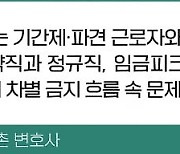 기간제·파견 넘어 남성 역차별까지… 진화하는 차별 분쟁