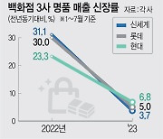 명품실적 맥못춘 백화점… “믿어요, 유커”