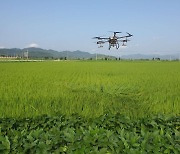 상주시, 드론으로 공동방제 실시