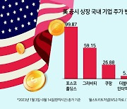 포스코홀딩스 미국 주식價 2배 뛰었다