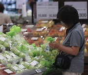 수박 1통이 4만3000원…“요즘 과일 값 왜 이러는 건가요”