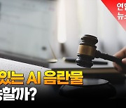 [영상] AI 제작 음란물 계속 나오지만 처벌은 마땅치 않아